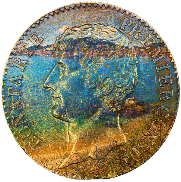 Родина Наполеона